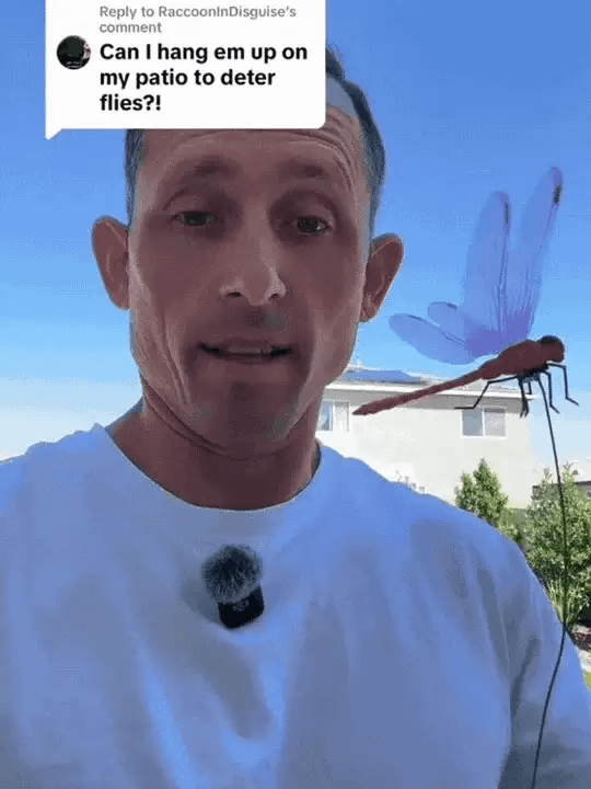 2026 Summer Hot Sale 49% OFF🔥Dragonfly Clip Bug Repe Llent